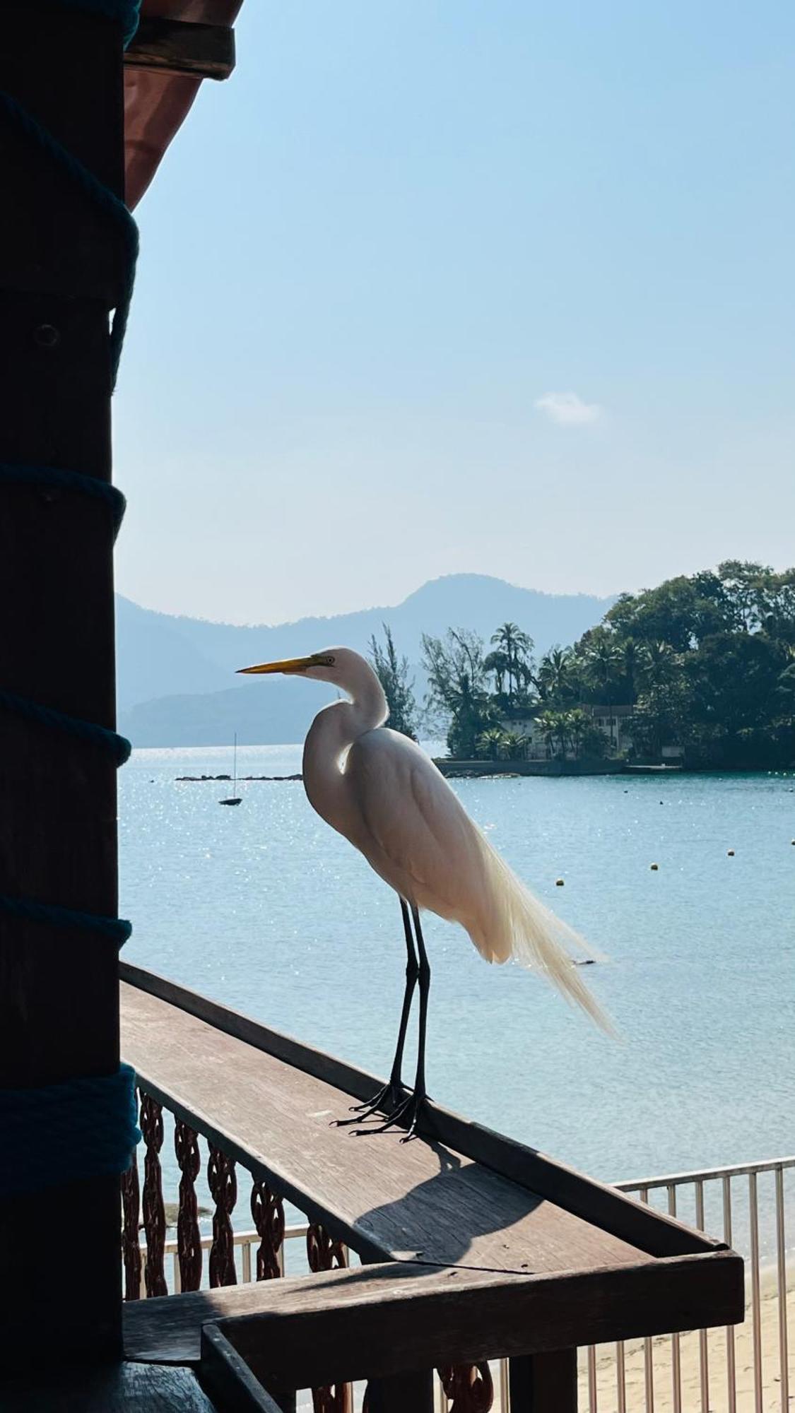 Guest House Floresta Mar Angra dos Reis Exterior photo